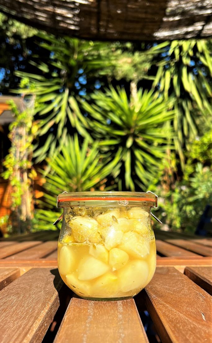 Fermentation lactique