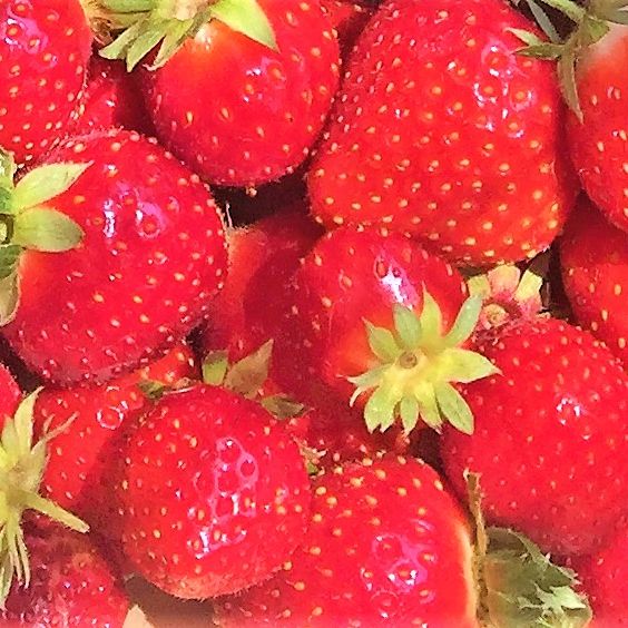 confiserie naturelle